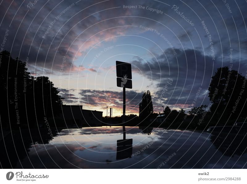 Bis morgen Umwelt Natur Himmel Wolken Schönes Wetter Baum Glas Metall Schilder & Markierungen Hinweisschild Warnschild Verkehrszeichen dunkel ruhig Autodach