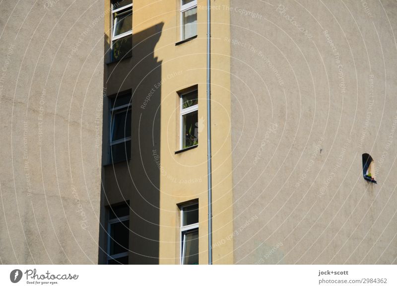 Brandwand Mittelding Fassade Fenster Brandmauer authentisch braun Schutz Verschwiegenheit Stil Symmetrie Hinterhof Regenrohr Zwischenraum Lücke Sonnenstand