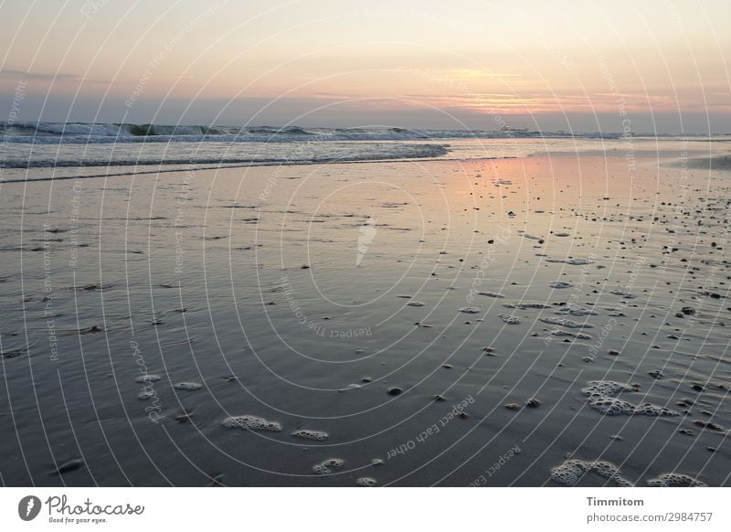 Ganz leiser Sonnenuntergang Ferien & Urlaub & Reisen Umwelt Natur Urelemente Sand Wasser Himmel Wolken Nachthimmel Sonnenaufgang Schönes Wetter Wellen Strand