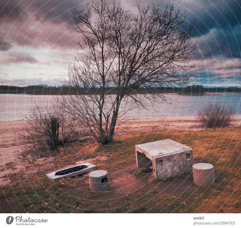 Pflegeleicht Umwelt Natur Landschaft Pflanze Wasser Himmel Wolken Horizont Winter Baum Gras Sträucher Küste Seeufer Teile u. Stücke Beton Holz groß ruhig Idylle