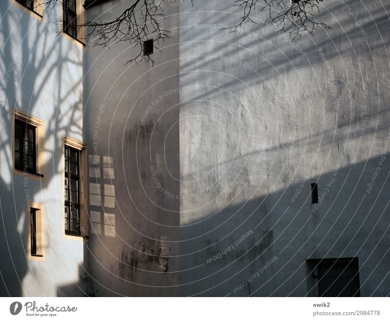 Nische Baumschatten Bautzen Ortenburg Lausitz Deutschland Burg oder Schloss Mauer Wand Fassade Fenster alt Bekanntheit historisch Mittelalter Farbfoto