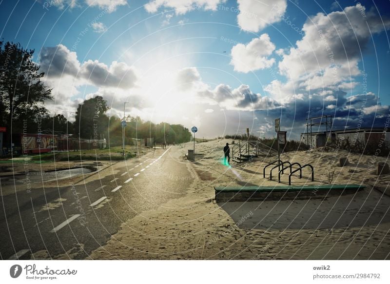 Sand und Sonne Umwelt Natur Landschaft Himmel Wolken Horizont Schönes Wetter Baum Sträucher Küste Straße leuchten hell Sehnsucht Fernweh Fahrradständer