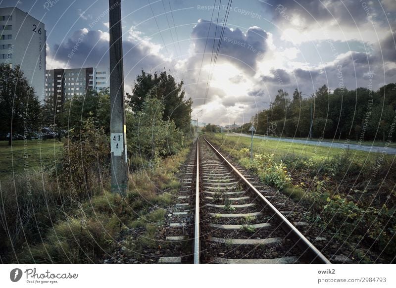 Lang hin Himmel Wolken Horizont Sonne Herbst Baum Gras Sträucher Kolobrzeg Polen Stadtrand Fenster Verkehr Verkehrswege Schienenverkehr Eisenbahn Gleise