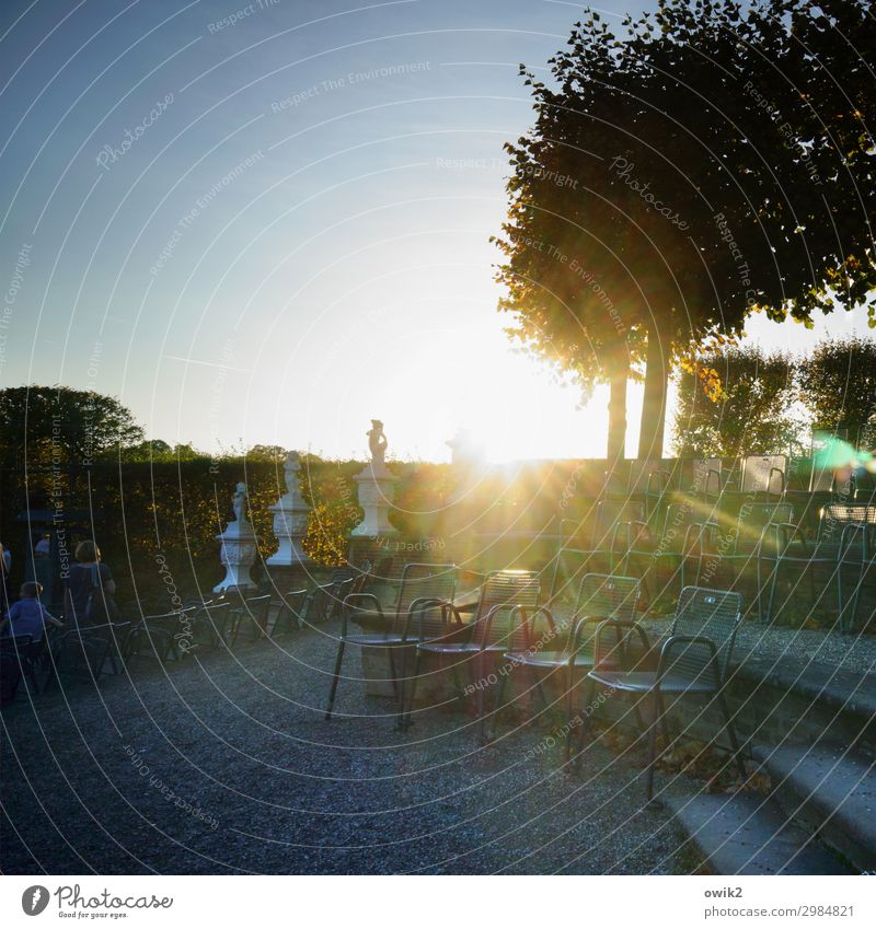 Platz da Kunstwerk Skulptur Umwelt Natur Landschaft Bäume Pflanze Wolkenloser Himmel Horizont Sonne Herbst Schönes Wetter Park Herrenhäuser Gärten Treppe Stühle