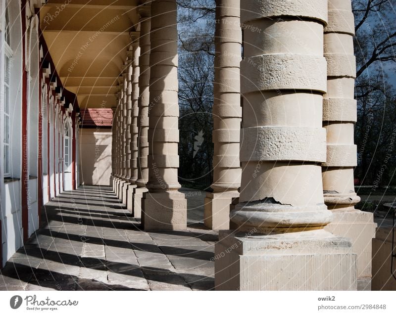 Alt, dick und rund Merseburg Sachsen-Anhalt Deutschland Kleinstadt Altstadt Bauwerk Architektur Säule Säulengang Sehenswürdigkeit Zusammensein gigantisch