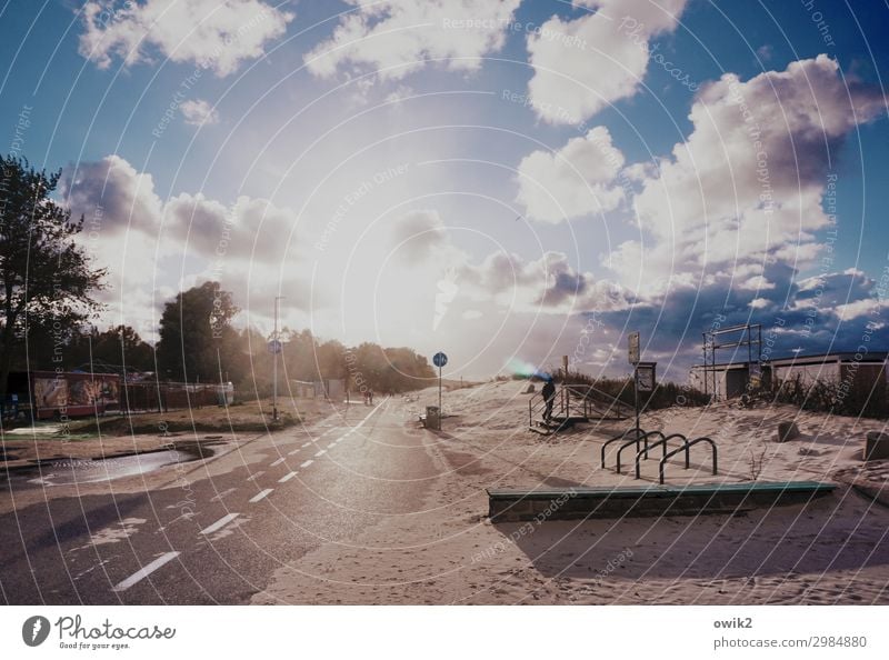 In die Ferne Umwelt Natur Landschaft Himmel Wolken Horizont Sonne Schönes Wetter Baum Sträucher Ostsee leuchten glänzend hell gleißend Straße Küstenstraße Polen