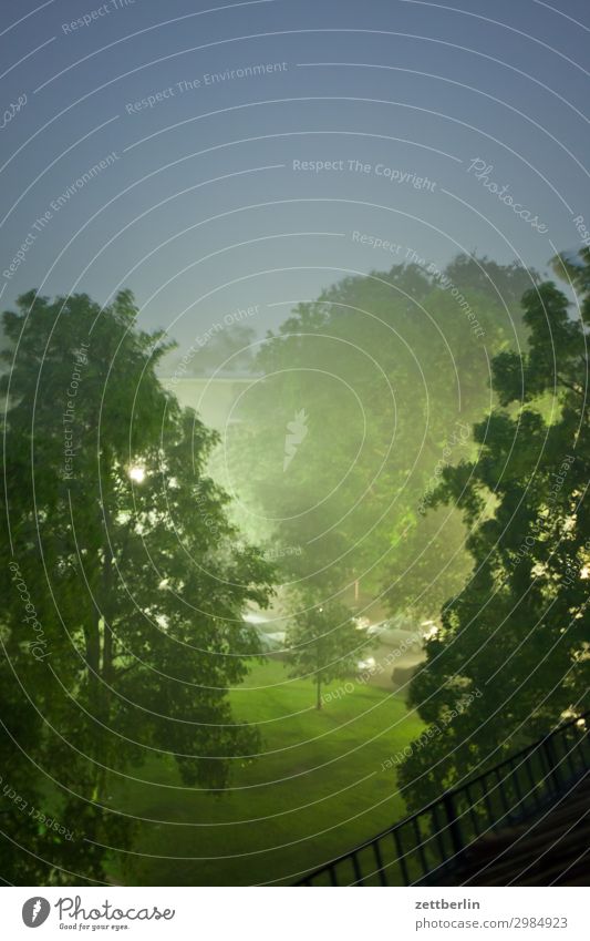 Regen in der Nacht Abend Baum Dämmerung Menschenleer Park Regenwasser starkregen Textfreiraum Wohngebiet Wiese Gras Rasen Niederschlag Nebel Dunst Wetter Sommer