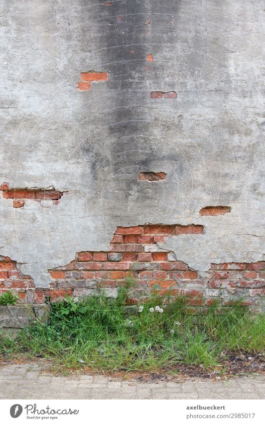 verfallene Mauer Hintergrund mit Textfreiraum Wand Fassade alt Verfall Grunge Hintergrundbild Putz Unkraut verwittert kaputt zerbröckelt Backstein Bürgersteig