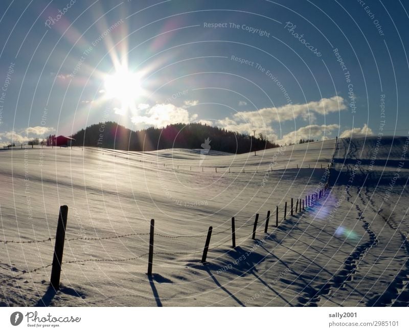 Wintersonne... Umwelt Landschaft Sonnenlicht Schönes Wetter Hügel Alpen Zufriedenheit Einsamkeit Horizont Idylle Wege & Pfade Schnee Zaun Zaunpfahl Holzpfahl