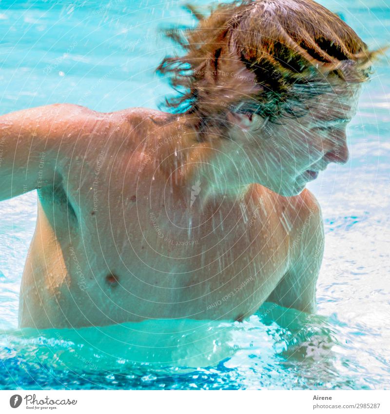 pudelwohl im Pool Wohlgefühl Schwimmbad Schwimmen & Baden Sommer Sommerurlaub maskulin Junger Mann Jugendliche Oberkörper 1 Mensch Wasser Wassertropfen