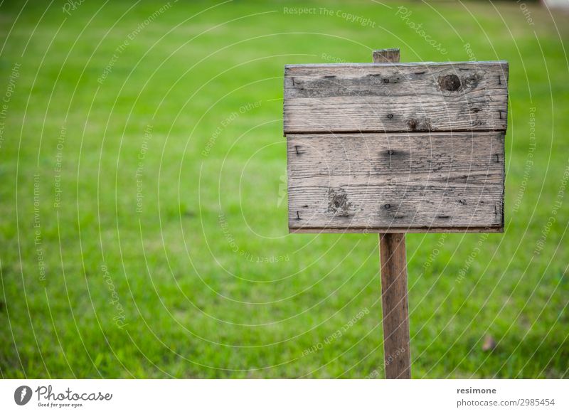 Holzbrett auf Gras Garten Umwelt Natur Pflanze Blume Park Straße Hinweisschild Warnschild alt natürlich wild grün Nostalgie Inserat Hintergrund Plakatwand