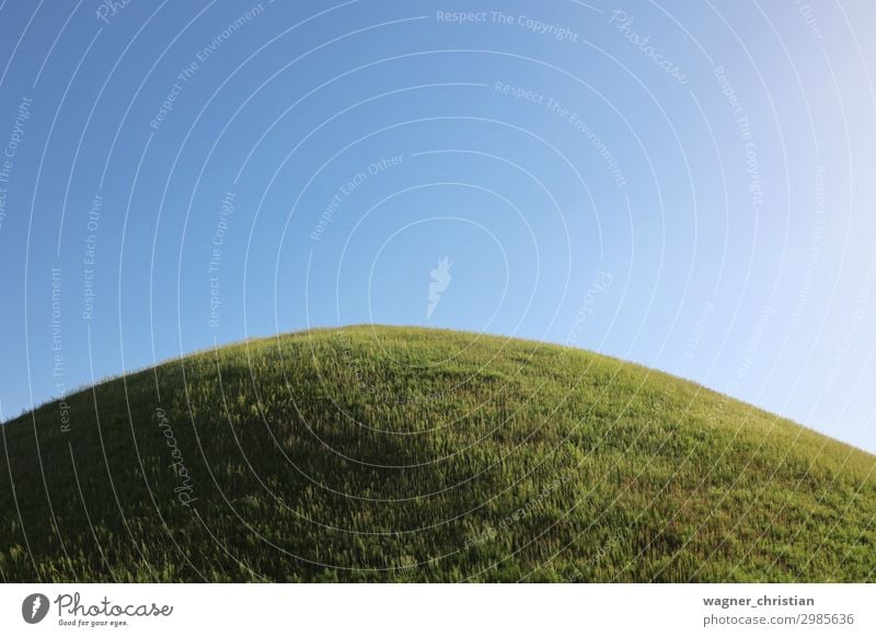 Grabhügel Natur Landschaft Pflanze Himmel Frühling Sommer Schönes Wetter Park Wiese Hügel blau grün Vorsicht Gelassenheit ruhig Hoffnung elegant Erholung