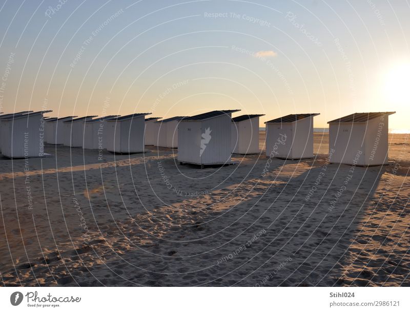 Seeblick Ferien & Urlaub & Reisen Sommer Sommerurlaub Strand Sand Himmel Schönes Wetter Nordsee Schwimmen & Baden Erholung träumen maritim blau braun