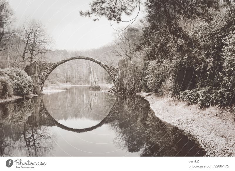 Alte Landschaft Umwelt Natur Pflanze Himmel Schönes Wetter Baum Sträucher Grünpflanze Park Sehenswürdigkeit Wahrzeichen alt Idylle Vergangenheit Ferne Kromlau