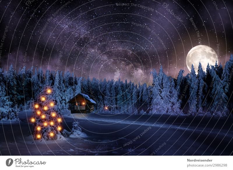 Weihnachten im Wald bei Nacht Winter Schnee Winterurlaub Feste & Feiern Weihnachten & Advent Silvester u. Neujahr Landschaft Mond Vollmond Eis Frost Baum Haus