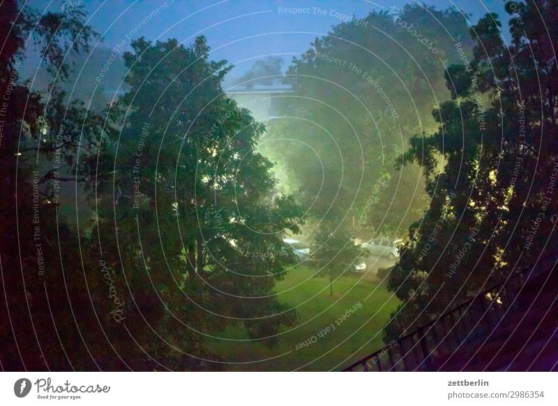 Regen bei Nacht Abend Baum Dämmerung Menschenleer Park Regenwasser starkregen Textfreiraum Wohngebiet Wiese Gras Rasen Niederschlag Nebel Dunst Wetter Sommer