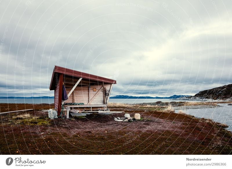 Barentssee Picknick Ferien & Urlaub & Reisen Ausflug Freiheit Camping Meer Urelemente Wasser Wolken Gras Moos Berge u. Gebirge Küste Fjord Hütte Gebäude wandern