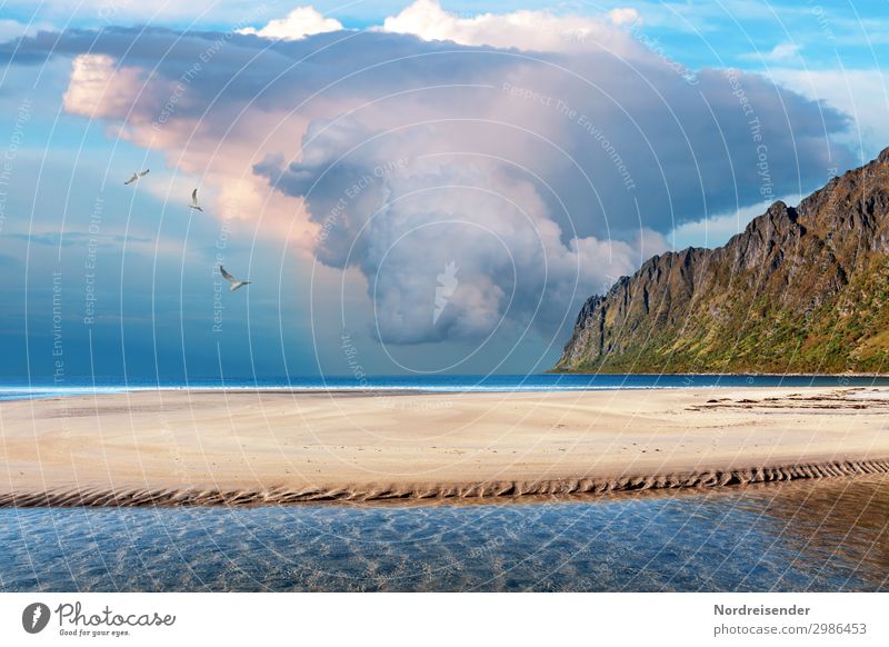 Gewitterzelle Ferien & Urlaub & Reisen Abenteuer Freiheit Camping Strand Meer Natur Landschaft Urelemente Wasser Wolken Gewitterwolken Unwetter Sturm Regen