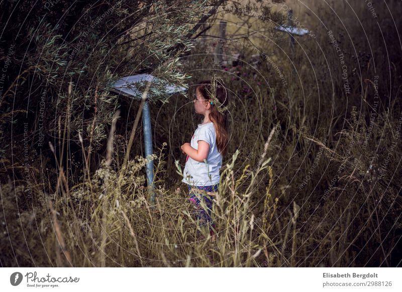 kleines Mädchen auf Entdeckungstour draußen Ausflug entdecken beobachten Kleinkind Neugier Sommer Kind Kindheit 1-3 Jahre Natur Landschaft Schönes Wetter Wiese