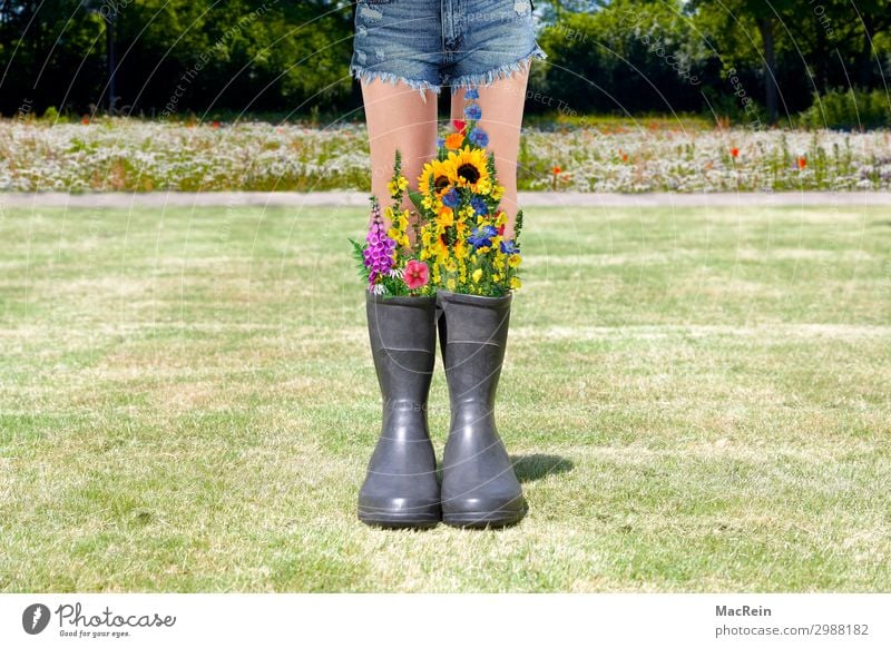 Gummistiefel mit Feldblumen Mensch feminin Junge Frau Jugendliche 1 18-30 Jahre Erwachsene Umwelt Natur Landschaft Pflanze Sommer Blume Grünpflanze Nutzpflanze