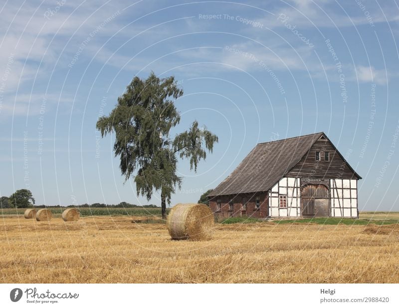 historisches Fachwerkgebäude steht an einem abgeernteten Feld mit Strohballen Umwelt Natur Landschaft Pflanze Himmel Sommer Schönes Wetter Baum Nutzpflanze Dorf