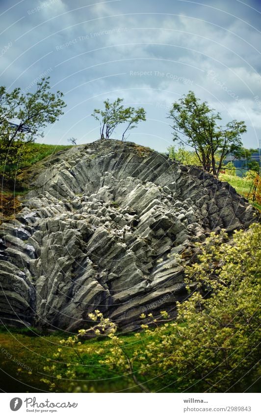 Basaltfächer auf dem Hirtstein im Erzgebirge Fächerbasalt Basaltformation Frühling Geotop Felsen Vulkangestein Berg Gebirge