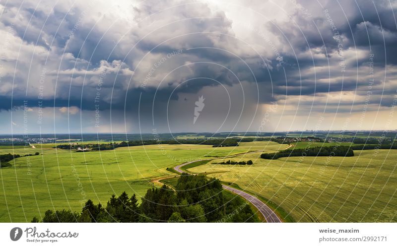 Gewitter über einem Weizenfeld. Ländliche Szene Sommer Natur Landschaft Himmel Wolken Horizont Wetter Unwetter Wind Sturm Regen Gras Wiese Feld dunkel natürlich