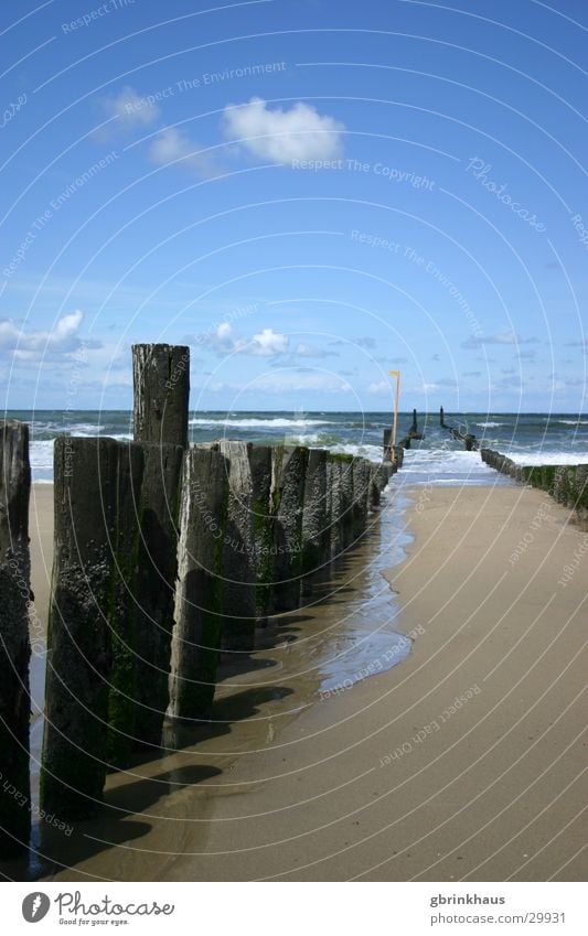 Einer schaut raus Niederlande Strand Meer Holzpfahl Ebbe Domburg Wasser Sand Himmel Flut