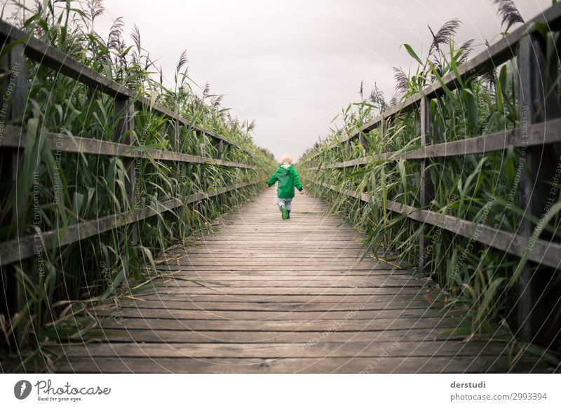 Spaziergang Mensch Kind träumen laufen Junge Kindheit 1 1-3 Jahre Natur Landschaft Pflanze Wolken Sommer Wetter schlechtes Wetter Gras rennen wild Freude