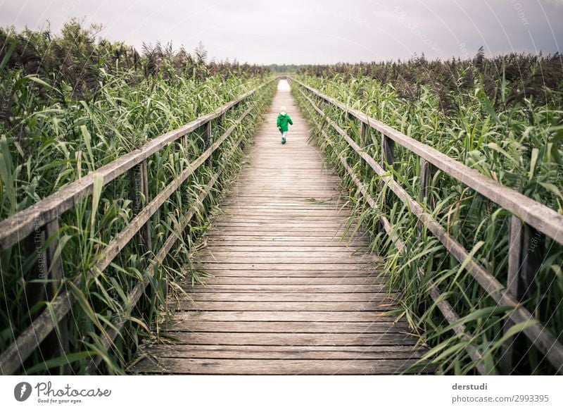 laufen Joggen Kind Junge Kindheit 1 Mensch 1-3 Jahre Kleinkind Natur Landschaft Pflanze Wolken Sommer Wetter schlechtes Wetter Gras rennen wild Freude Abenteuer