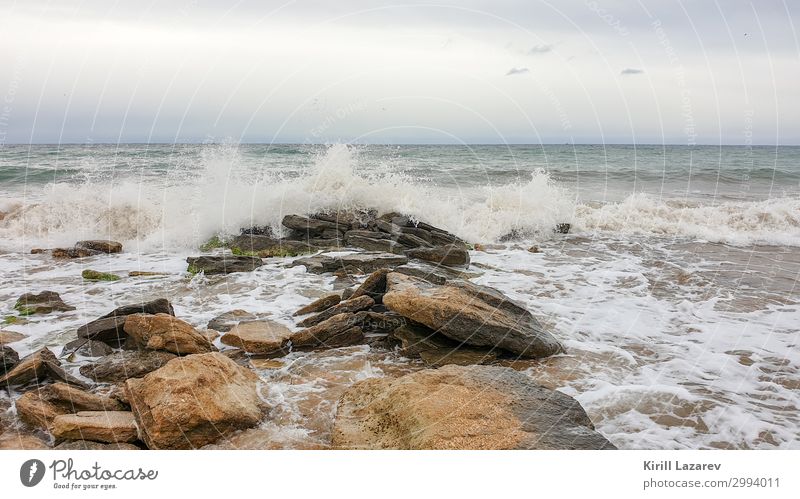 Meeresbrandung vor der Küste von Feodosia Landschaft Sand Wasser Wolken Gewitterwolken Frühling Wetter Unwetter ästhetisch schön Abenteuer Farbfoto