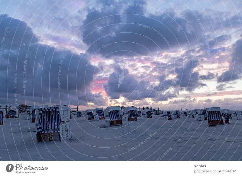 Himmel, Strand und Körbe mit Wolken am Abend bei Sonnenuntergang Strandkorb Erholung Schwimmen & Baden Ferien & Urlaub & Reisen Tourismus Sommer Sommerurlaub