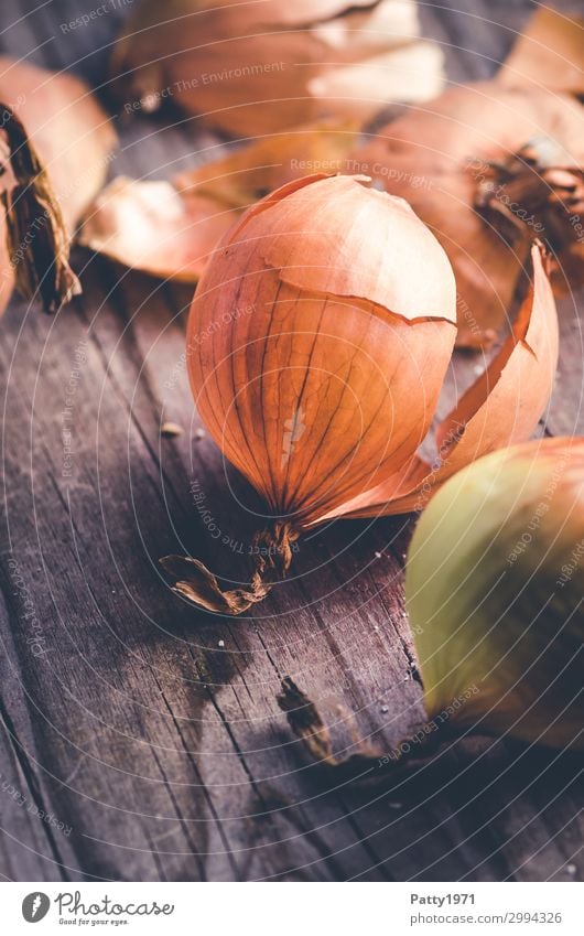 Zwiebel Lebensmittel Gemüse Zwiebelhaut Ernährung Bioprodukte Vegetarische Ernährung Holz braun Nahaufnahme Detailaufnahme Menschenleer