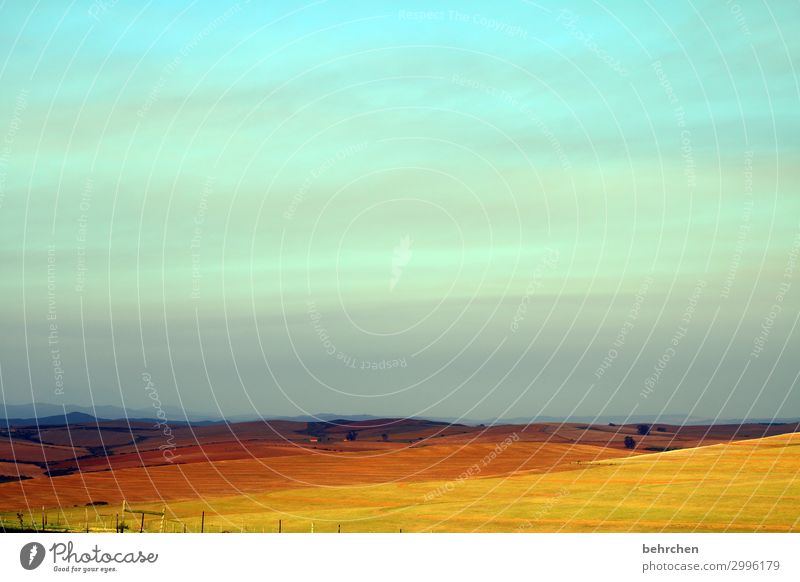 farmland Ferien & Urlaub & Reisen Tourismus Ausflug Abenteuer Ferne Freiheit Umwelt Natur Landschaft Erde Himmel Sonnenaufgang Sonnenuntergang Feld Erholung