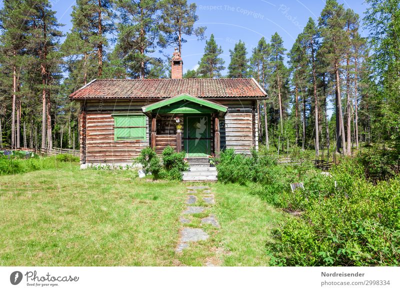 Schwedische Idylle Ferien & Urlaub & Reisen Tourismus Garten Natur Wolkenloser Himmel Sonne Sommer Schönes Wetter Baum Gras Sträucher Wiese Wald Stadtrand Hütte