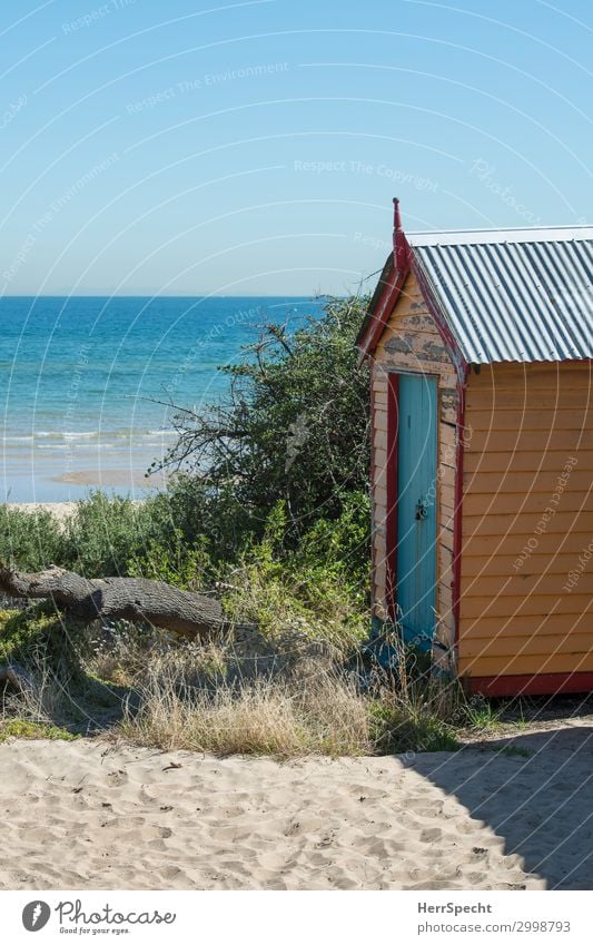 Room with a view Lifestyle Erholung ruhig Freizeit & Hobby Ferien & Urlaub & Reisen Tourismus Ferne Sommer Sommerurlaub Strand Meer Häusliches Leben Melbourne