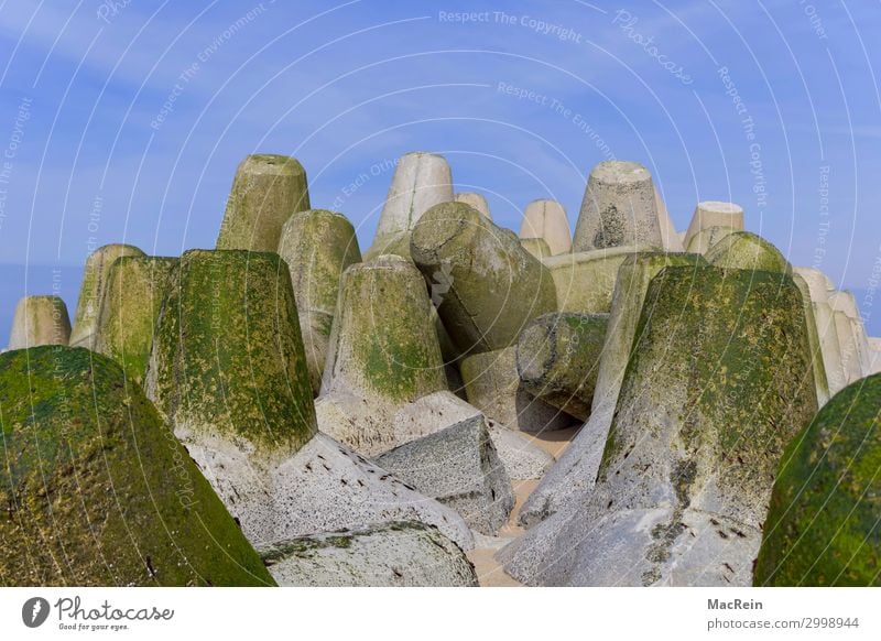 Tetrapoden Ferien & Urlaub & Reisen Strand Meer Insel Sand Küste Nordsee gigantisch groß Schutz Befestigung Grenzbefestigung Deich Naturgewalt Flutschutzanlage