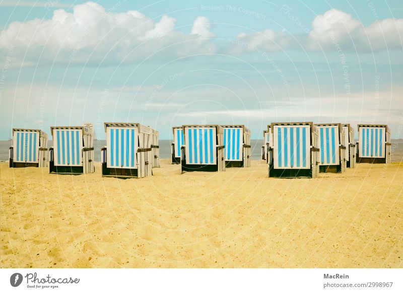 Strandkörbe Erholung ruhig Ferien & Urlaub & Reisen Ferne Sommer Meer Insel Landschaft Sand Himmel Horizont Sonnenlicht Wetter Wärme Gras Küste Nordsee Ostsee