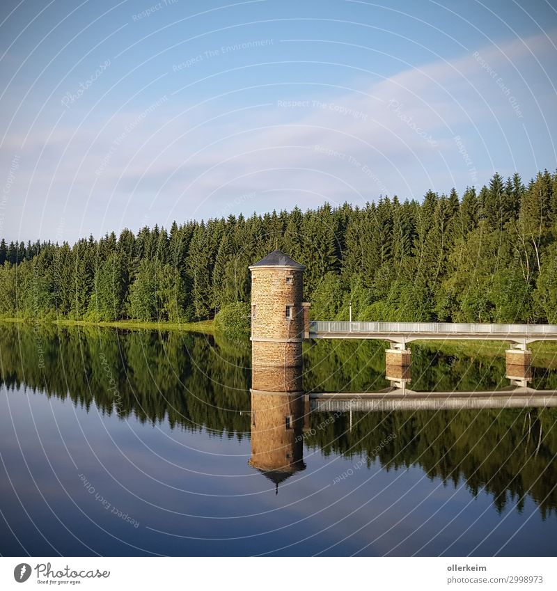 doppelter Turm - Talsperre Cranzahl Umwelt Natur Landschaft Wasser Himmel Sommer Schönes Wetter Teich See Trinkwasser Wald Brücke Bauwerk Erholung erholsam nass