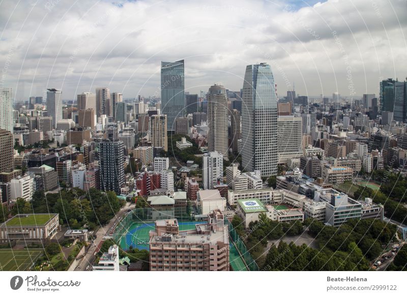 Leben in Tokio Reichtum Freizeit & Hobby Sportplatz Sportrasen Tourismus Ferne Städtereise Häusliches Leben Skyline Hochhaus Ballsport Sportler Sportstätten