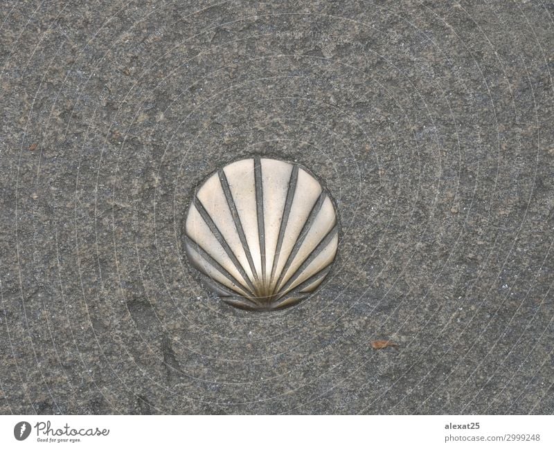 St. James Shell Symbol des Weges Ferien & Urlaub & Reisen Ausflug Straße Stein Religion & Glaube Pfeil Hintergrund Camino katholisch compostela Regie heilig