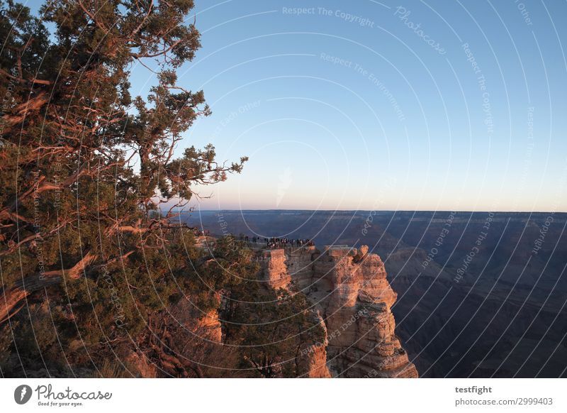 grand canyon Mensch Menschenmenge Theaterschauspiel Umwelt Natur Landschaft Pflanze Tier Urelemente Erde Sand Luft Himmel Horizont Schönes Wetter Baum Schlucht