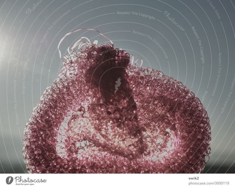 Schwamm drüber Geschirrspülen Kunststoff alt nah rot Abnutzung Franse Farbfoto Innenaufnahme Detailaufnahme Strukturen & Formen Menschenleer Sonnenlicht