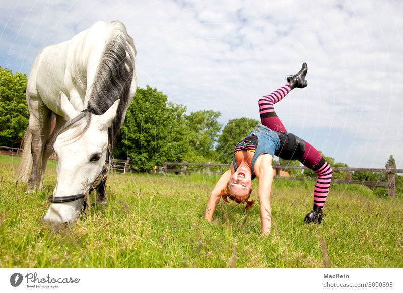 Pippi Langstrumpf Reiten Mensch feminin Junge Frau Jugendliche 30-45 Jahre Erwachsene Kunst Künstler Zirkus Veranstaltung Show Tier Bekleidung Strümpfe