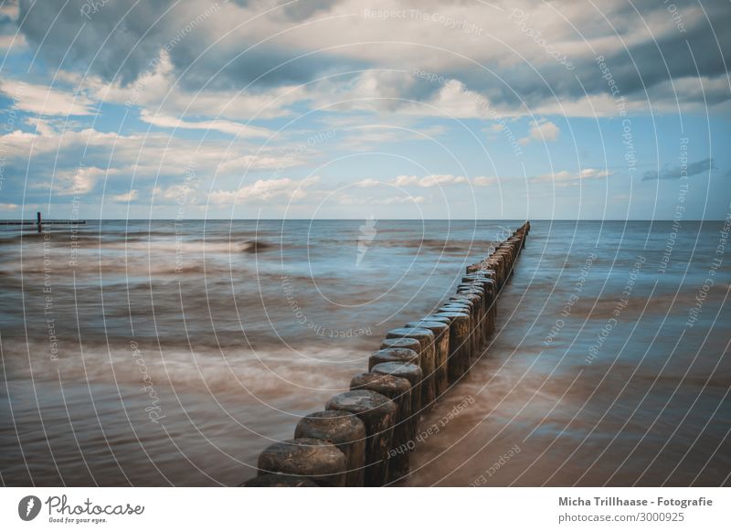 Buhnen an der Ostseeküste Ferien & Urlaub & Reisen Tourismus Strand Meer Usedom Koserow Holzpfahl Natur Landschaft Wasser Himmel Wolken Sonnenlicht Bewegung