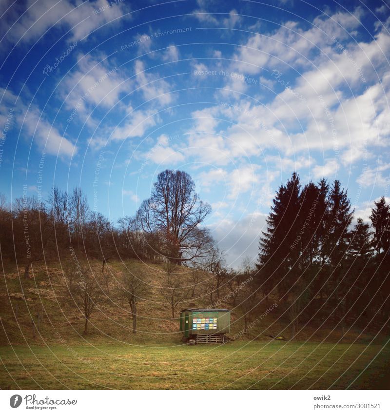 Hobbyimker Umwelt Natur Landschaft Pflanze Himmel Wolken Horizont Schönes Wetter Baum Gras Sträucher Imkerei Bienenstock Farbfoto Außenaufnahme Menschenleer