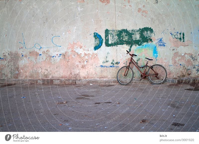 On the road again l altes Fahrrad mit Rost, lehnt an Mauer Ferien & Urlaub & Reisen Tourismus Ausflug Kunst Musik Wand Verkehr Verkehrsmittel Straße stehen