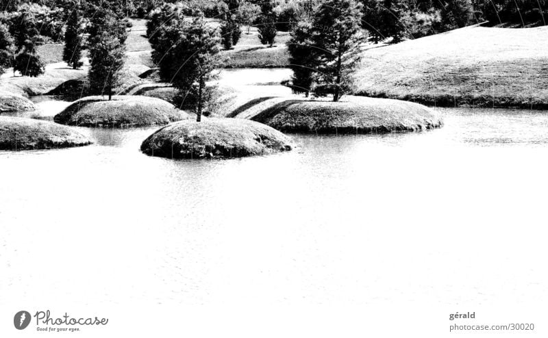 Schwart & Weiß Natur 4 Baum Hügel Gras weiß grau See Rasen Garten Japan Wasser Insel