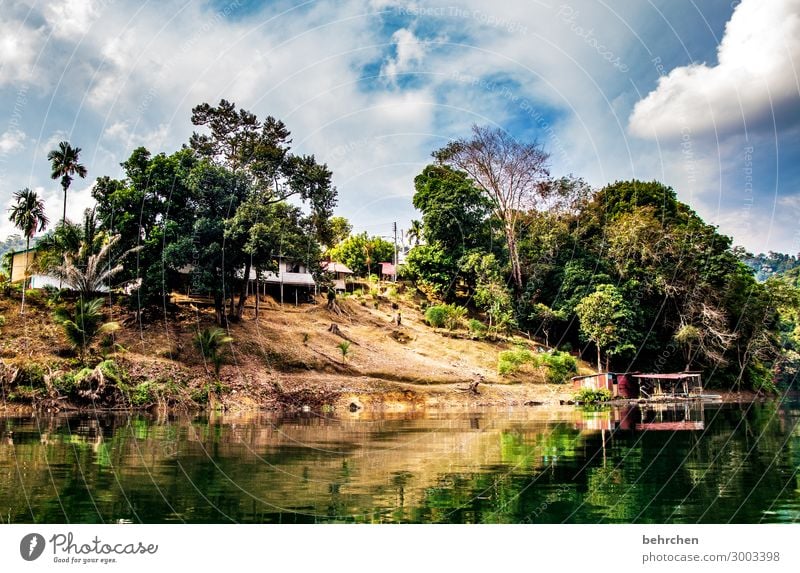 leben im regenwald Ferien & Urlaub & Reisen Tourismus Ausflug Abenteuer Ferne Freiheit Umwelt Natur Landschaft Himmel Wolken Urwald Flussufer außergewöhnlich