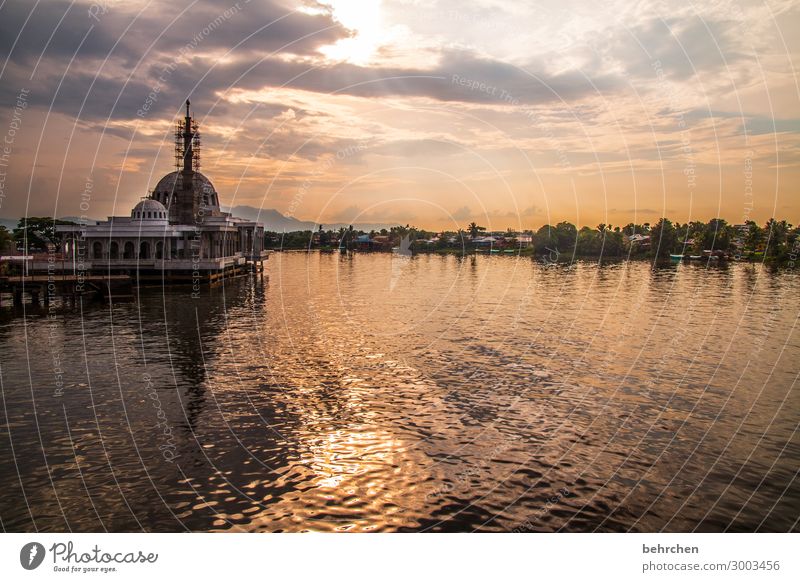 beten überall auf der welt | corona thoughts besonders Landschaft Sonnenuntergang wunderschön traumhaft Natur Abenddämmerung Gegenlicht Sonnenlicht Fluss